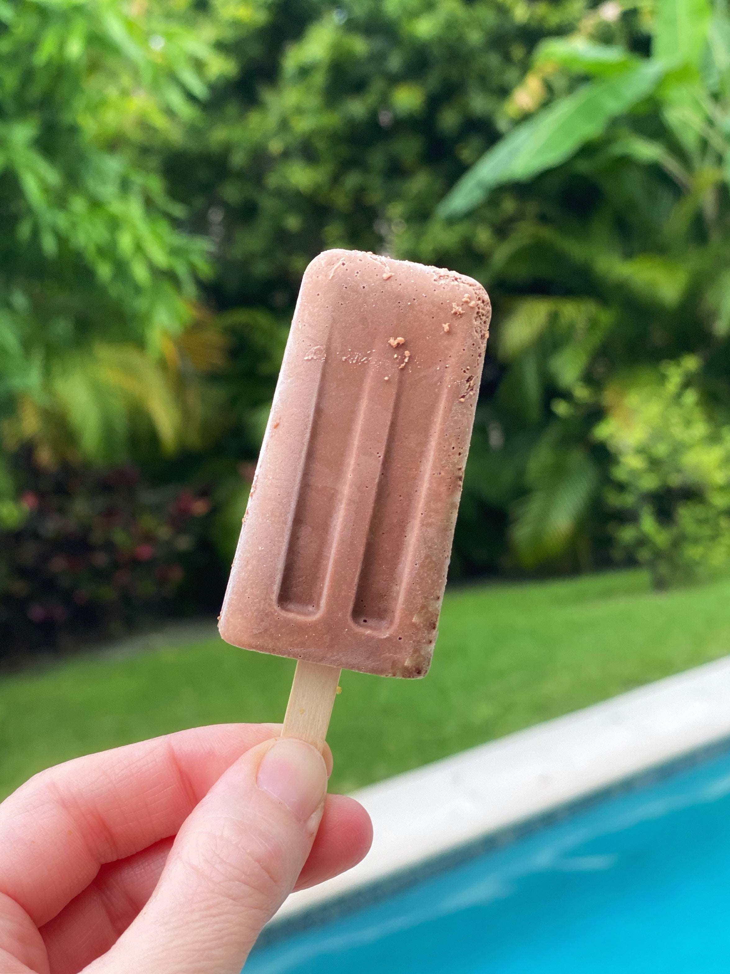 Fudge Pops Garcia Nevett Chocolatier de Miami
