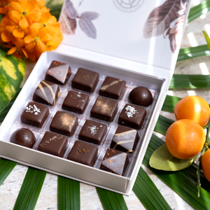 Box of Chocolates - 25 pcs | Flavors of Florida | Garcia Nevett in