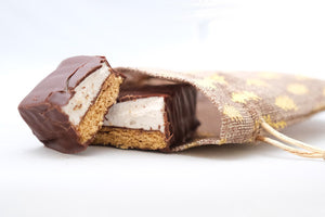 Chocolate covered s'mores